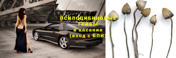 трава Пролетарск
