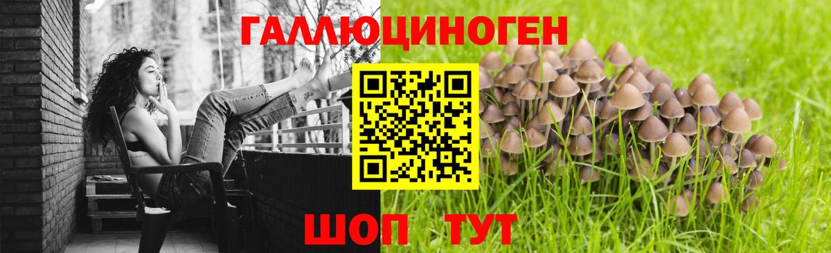 Псилоцибиновые грибы прущие грибы Сертолово