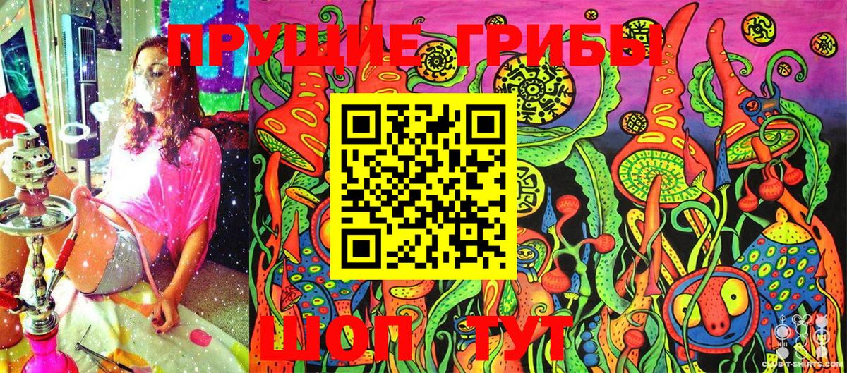 Сертолово  Галлюциногенные грибы GOLDEN TEACHER  Галлюциногенные грибы MAGIC MUSHROOMS  Вход с VPN 
